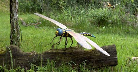 how big were ancient dragonflies.